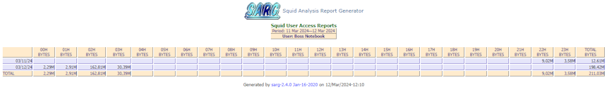 Sarg-report-by-days-and-hours.png
